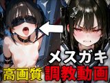 メ○ガキを調教するだけの動画